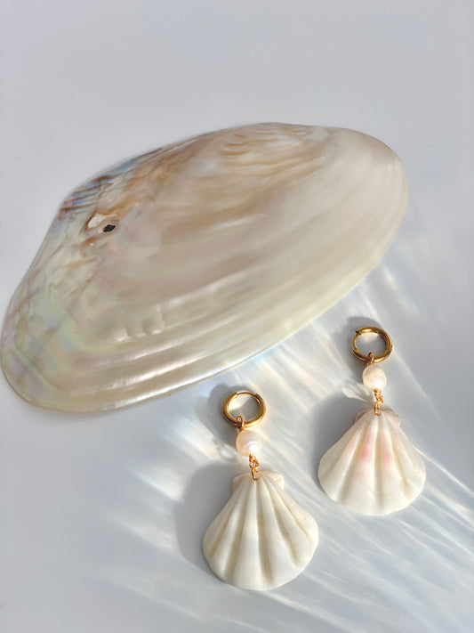 Shell hugs